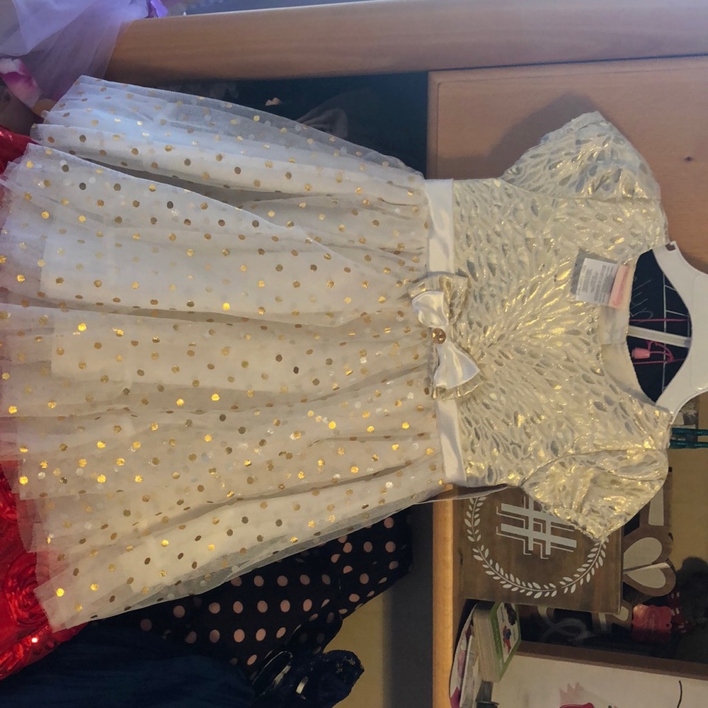 Infant 24 month dress